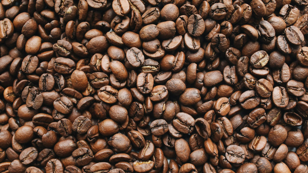 Arabica vs. robusta: what’s the difference and what's best for you?
