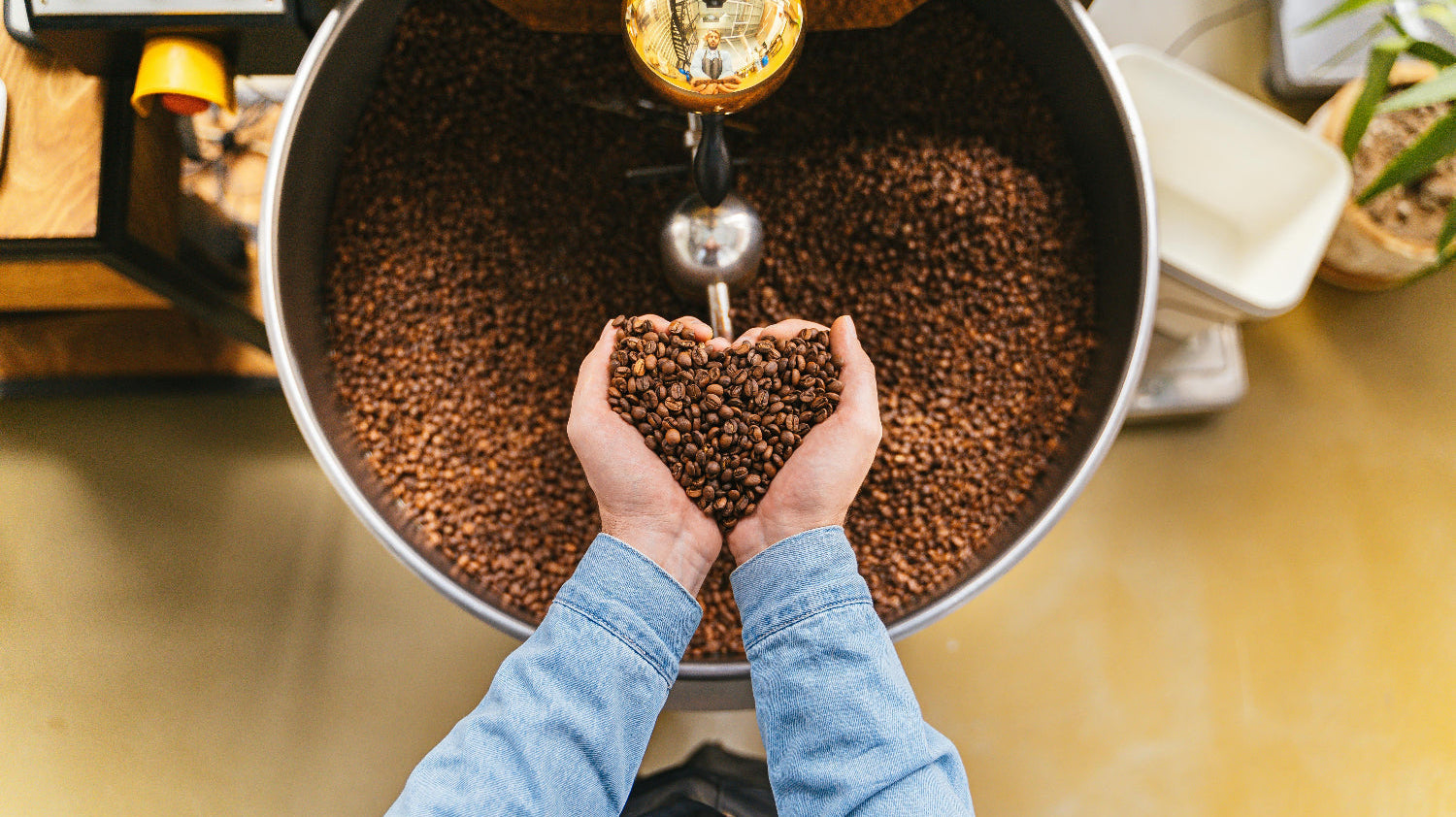 Our favourite coffee roasters around the world