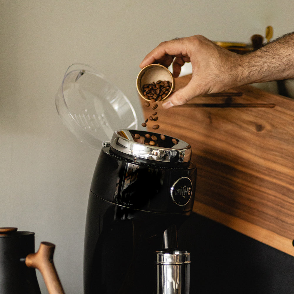 Coffee beans being poured into Black Niche Duo