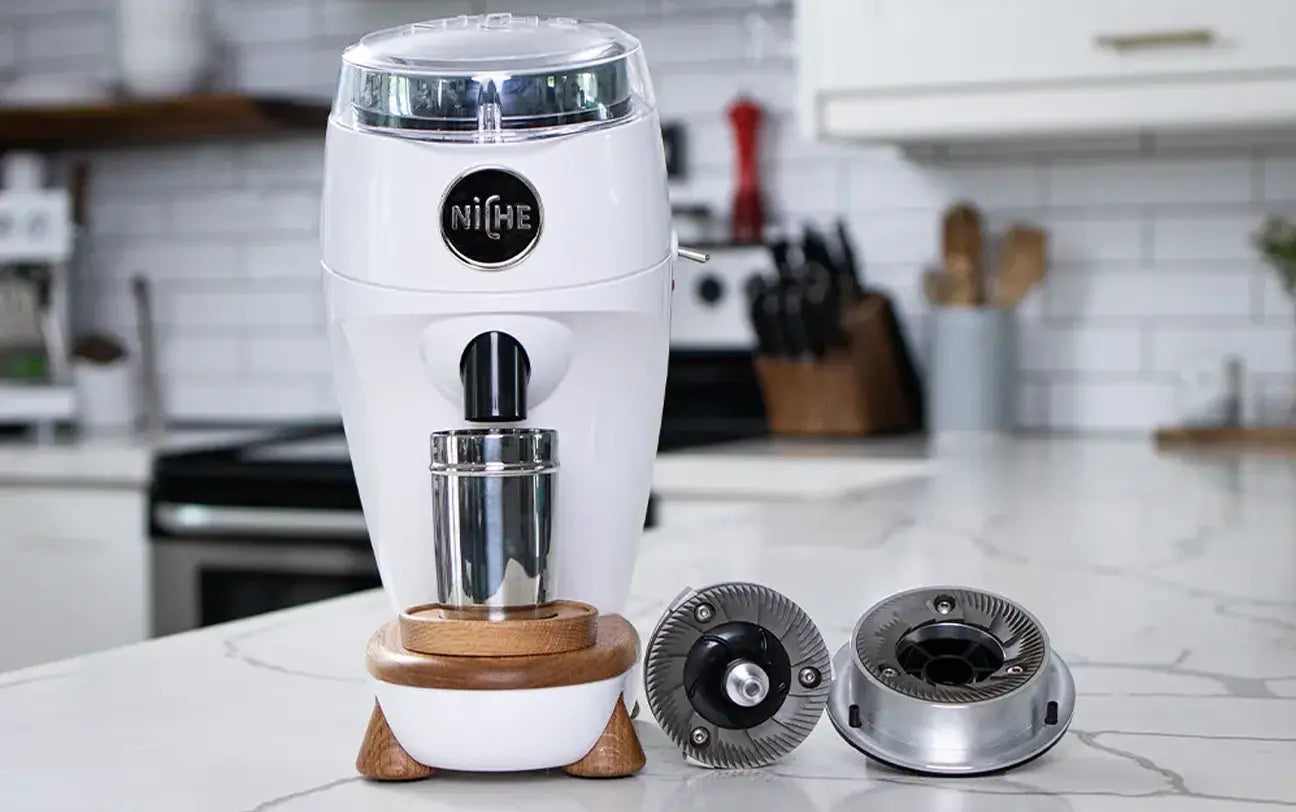 White Niche Duo next to 83mm mazzer flat espresso burrs