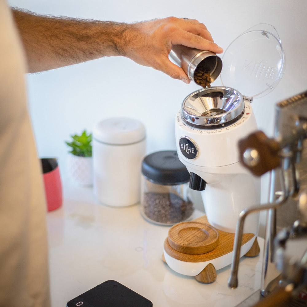 Pouring beans into white Niche Zero