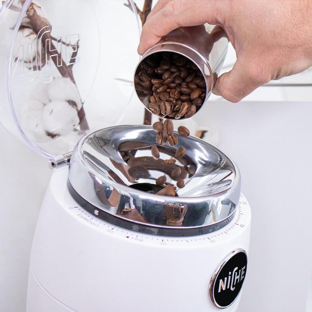 Coffee beans being poured into White Niche Zero
