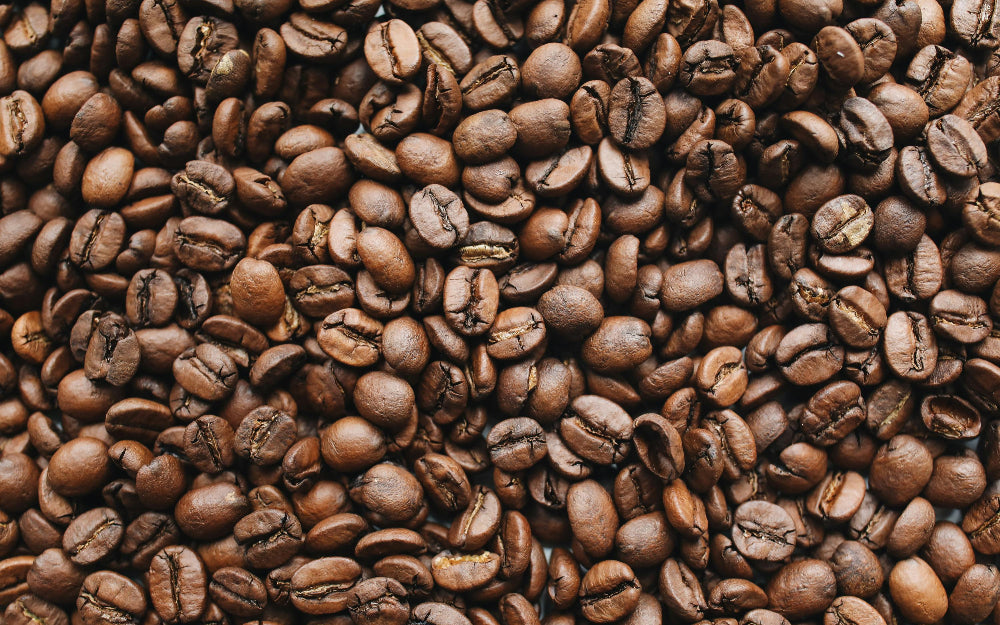 Arabica vs. robusta: what’s the difference?